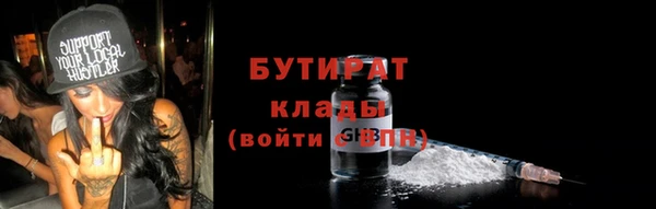индика Баксан