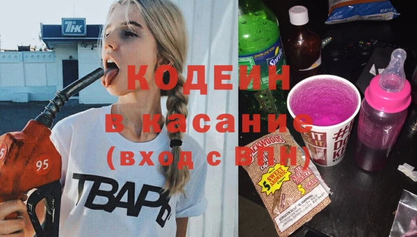 индика Баксан