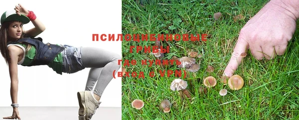 индика Баксан