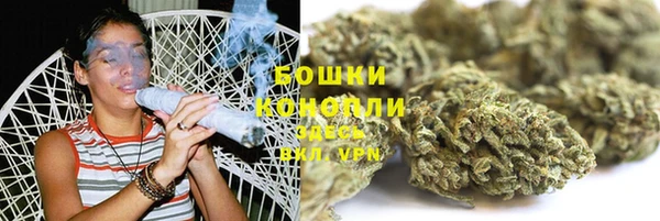 индика Баксан