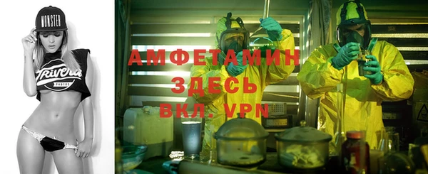индика Баксан
